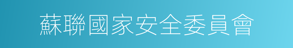 蘇聯國家安全委員會的同義詞