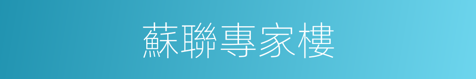 蘇聯專家樓的同義詞