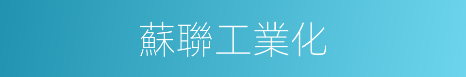 蘇聯工業化的同義詞