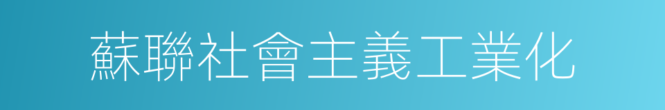 蘇聯社會主義工業化的同義詞