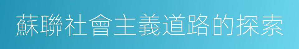 蘇聯社會主義道路的探索的同義詞