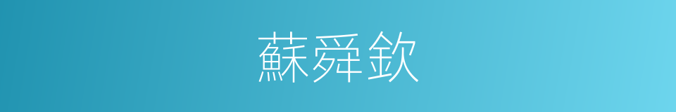 蘇舜欽的意思