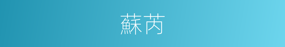 蘇芮的同義詞