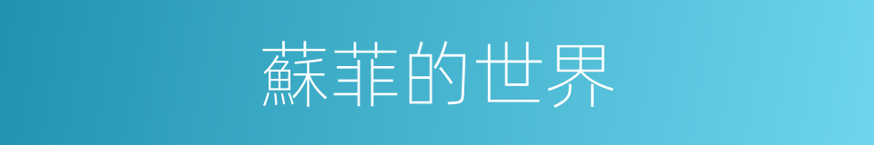 蘇菲的世界的同義詞