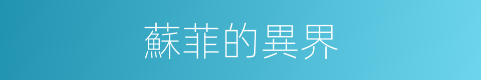 蘇菲的異界的同義詞