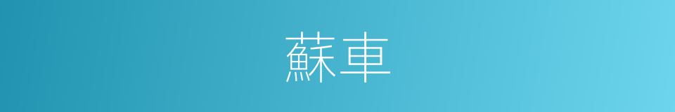 蘇車的同義詞