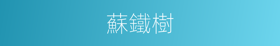 蘇鐵樹的同義詞