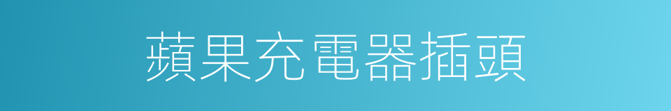 蘋果充電器插頭的同義詞