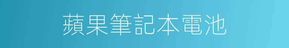 蘋果筆記本電池的同義詞