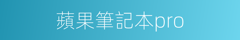 蘋果筆記本pro的同義詞