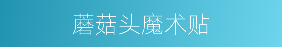 蘑菇头魔术贴的同义词