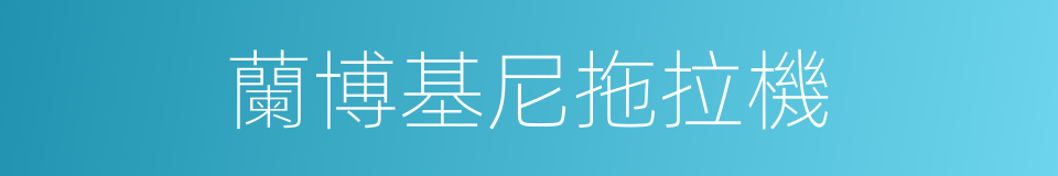 蘭博基尼拖拉機的同義詞