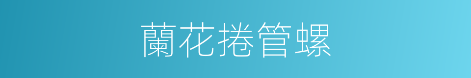 蘭花捲管螺的同義詞