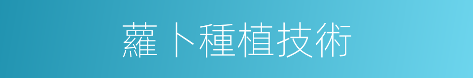蘿卜種植技術的同義詞