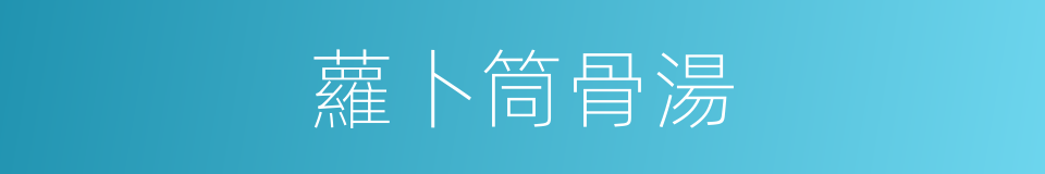 蘿卜筒骨湯的同義詞