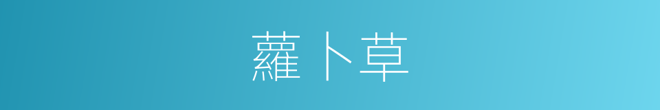 蘿卜草的同義詞