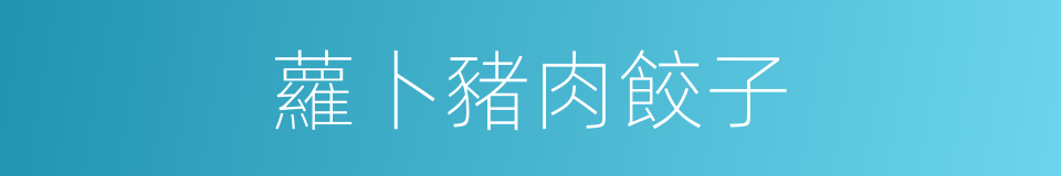 蘿卜豬肉餃子的同義詞