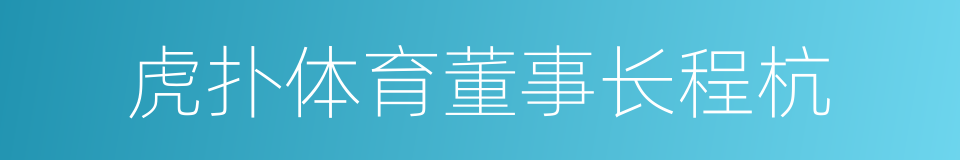 虎扑体育董事长程杭的同义词