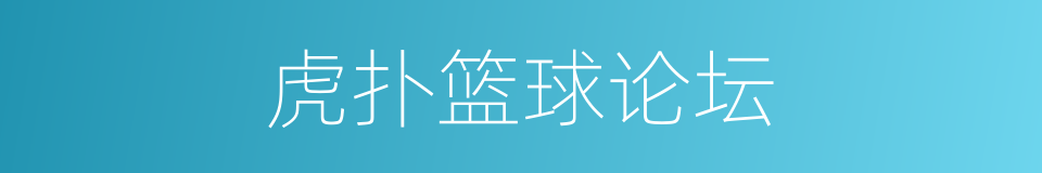 虎扑篮球论坛的同义词