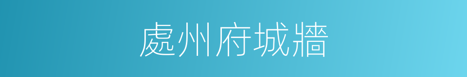 處州府城牆的同義詞
