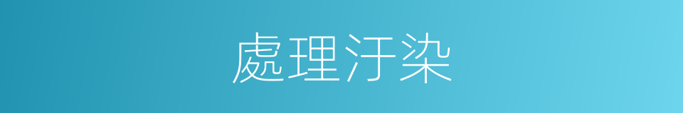 處理汙染的同義詞