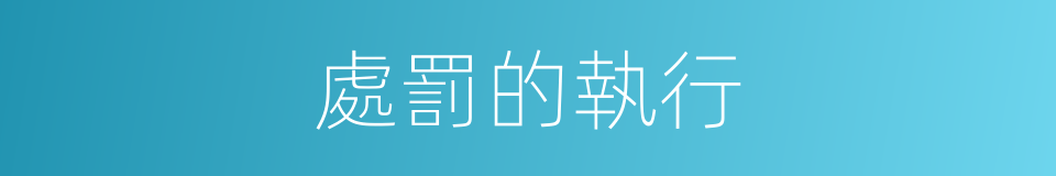 處罰的執行的同義詞