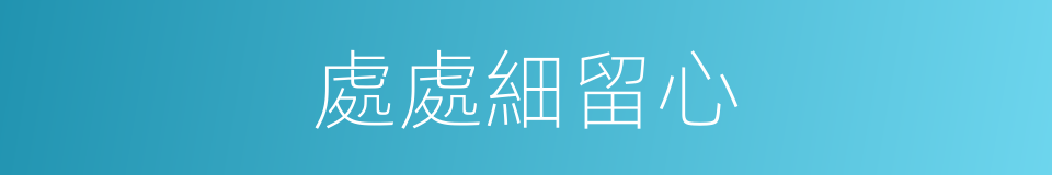處處細留心的意思