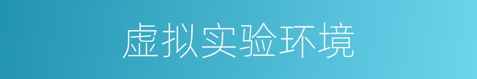 虚拟实验环境的同义词