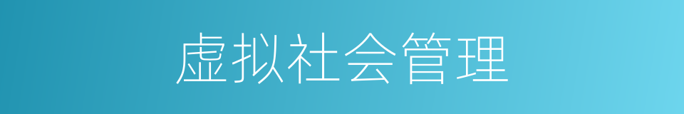 虚拟社会管理的同义词