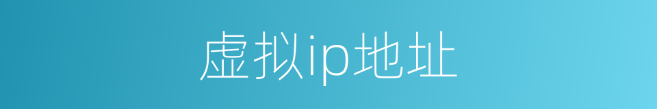 虚拟ip地址的同义词