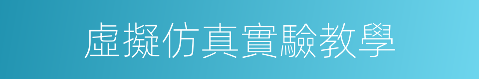 虛擬仿真實驗教學的同義詞
