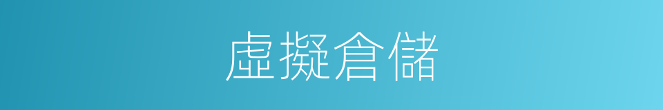 虛擬倉儲的同義詞