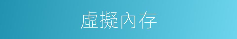 虛擬內存的同義詞