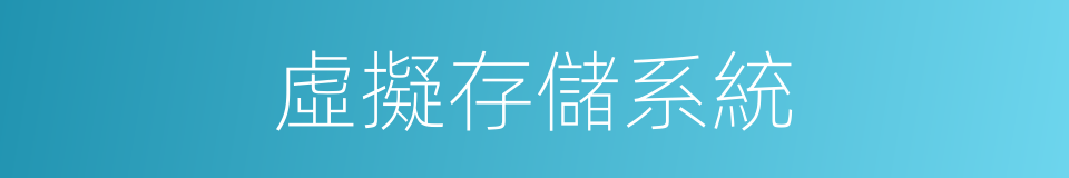 虛擬存儲系統的同義詞