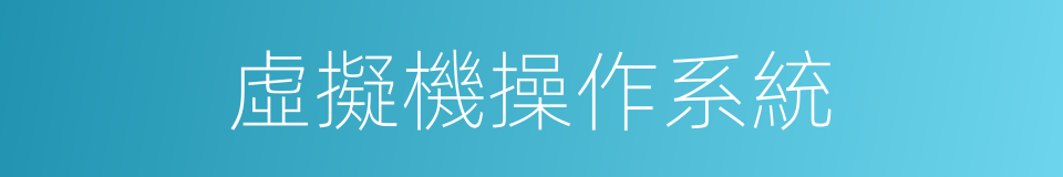 虛擬機操作系統的同義詞