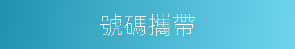 號碼攜帶的同義詞