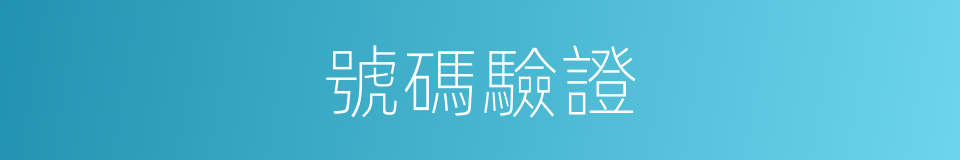 號碼驗證的同義詞