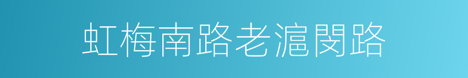 虹梅南路老滬閔路的同義詞