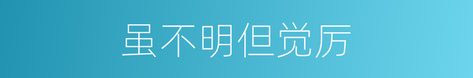虽不明但觉厉的同义词