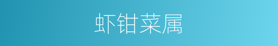 虾钳菜属的同义词