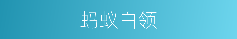 蚂蚁白领的同义词