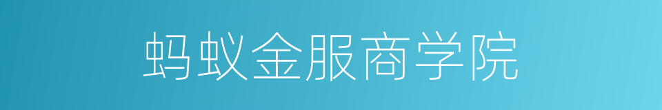蚂蚁金服商学院的同义词