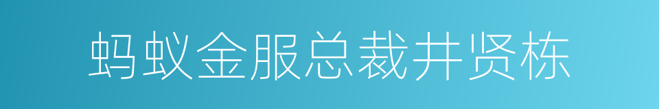 蚂蚁金服总裁井贤栋的同义词