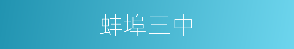 蚌埠三中的同义词