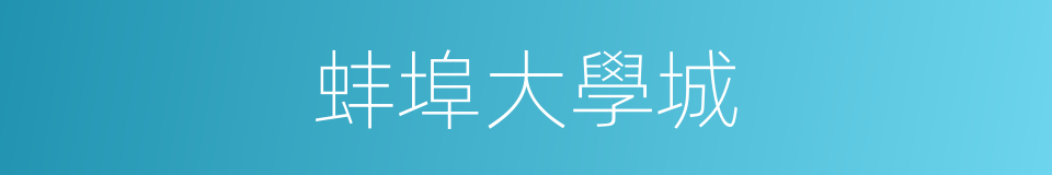 蚌埠大學城的同義詞