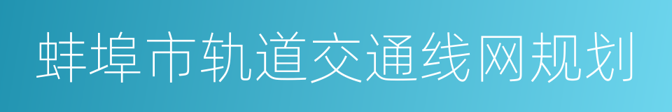 蚌埠市轨道交通线网规划的同义词