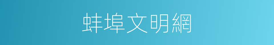 蚌埠文明網的同義詞