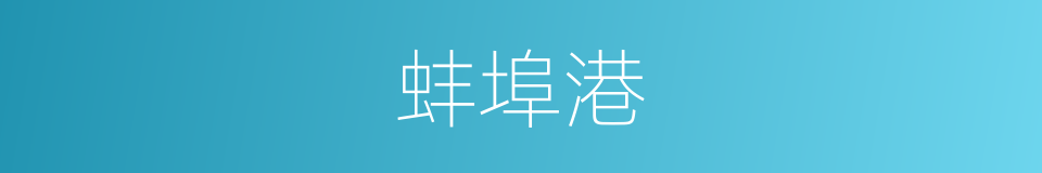 蚌埠港的同义词