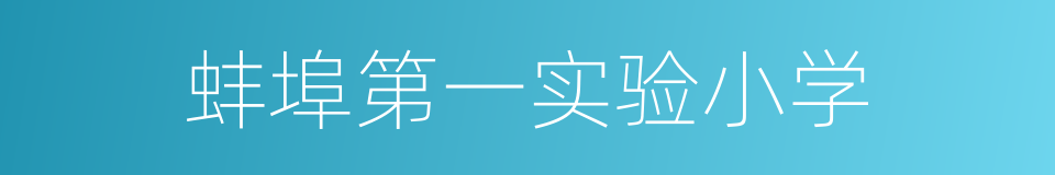 蚌埠第一实验小学的同义词