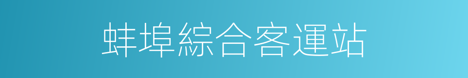 蚌埠綜合客運站的同義詞